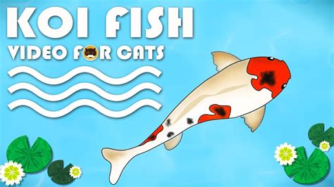 fake fish for cats to watch|catching fish video game.